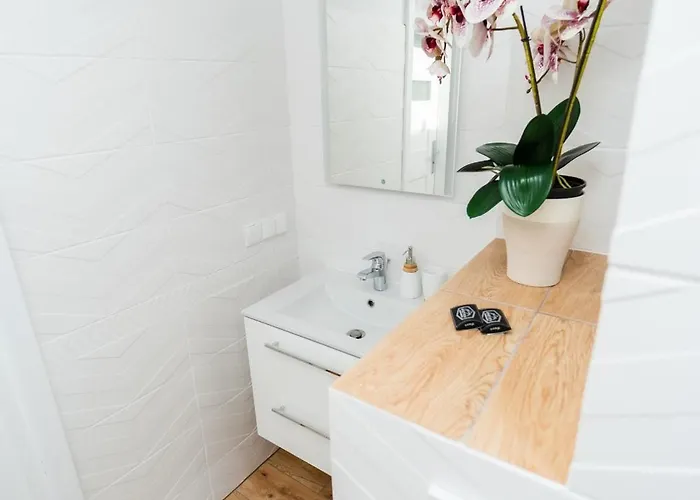 Sunny With Parking & Balcony With Mountain View By Renters